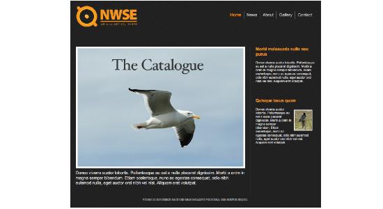 NWSE